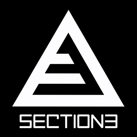 section3 logo: a white triangle enclosing a stylized 3, above the SECTION3 wordmark, on a black square